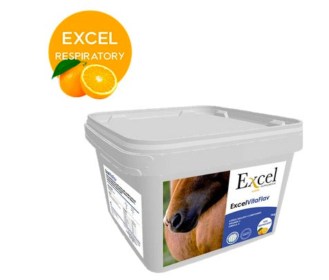 Excel VitaFlav