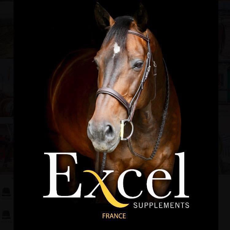 EXCEL SUPPLEMENTS