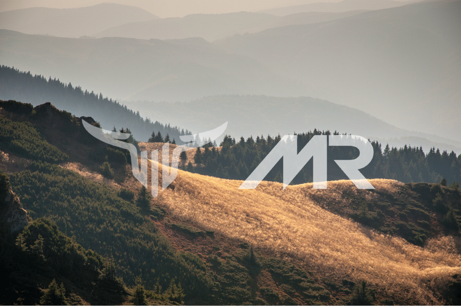 MR & WRA