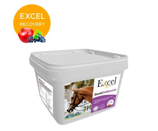 Excel GraRecover